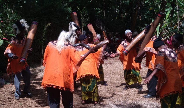 (Mtingo Traditional Dancers from Moshi Rural District singing and dancing performing during the recording event using Elongated wooden drums and Kudu (animal) Horn as trumpet.